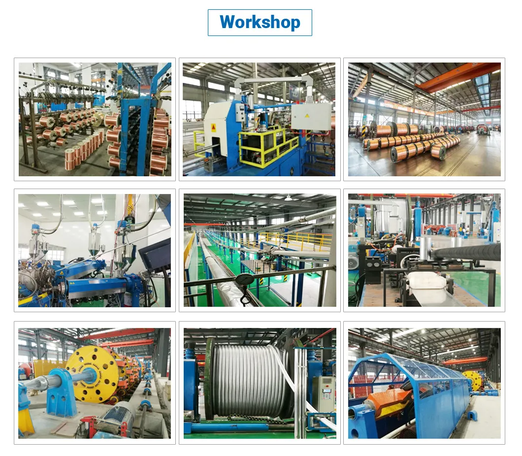 1000V Nayy Nayy-O N2xy-J Yjv VV Swa Sta Armoured VDE Standard Power Cable XLPE Cable