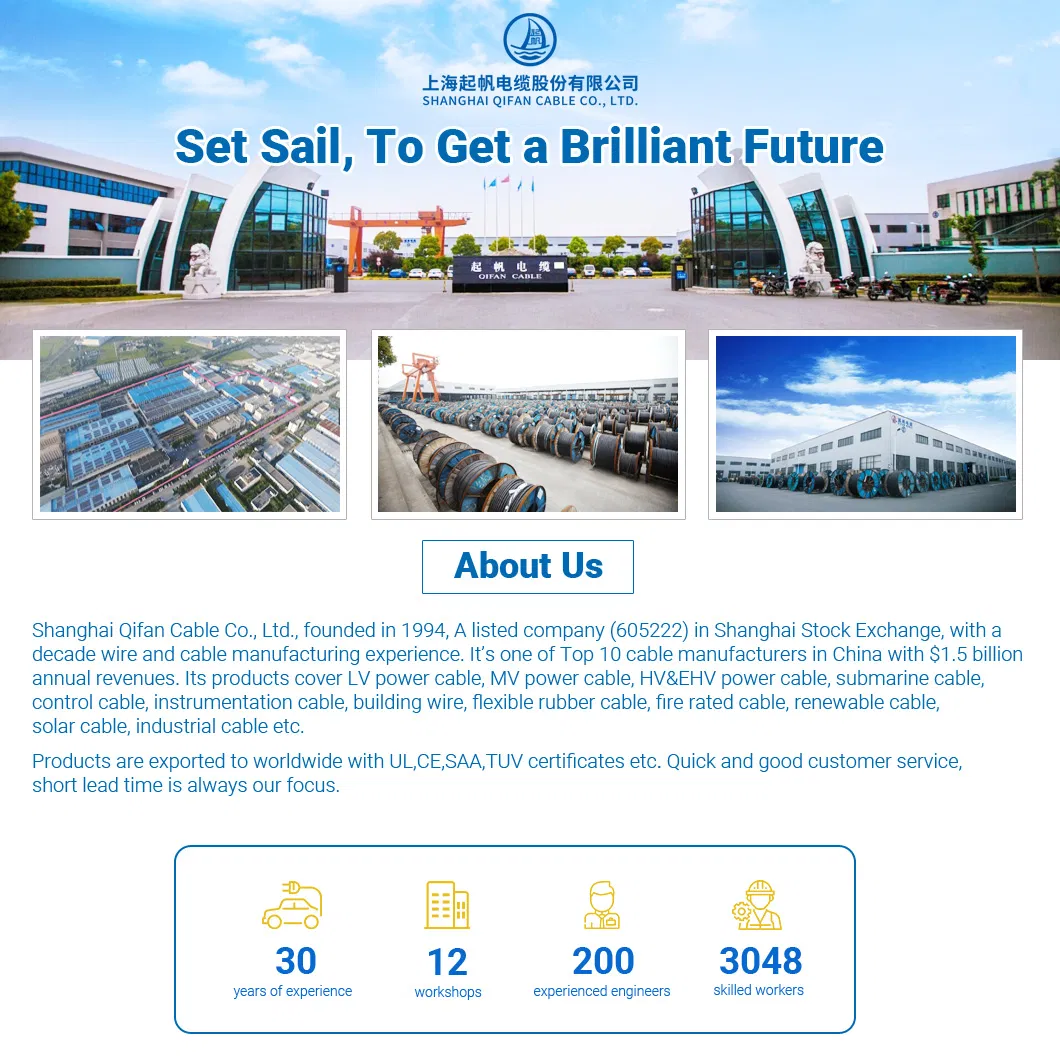 1000V Nayy Nayy-O N2xy-J Yjv VV Swa Sta Armoured VDE Standard Power Cable XLPE Cable