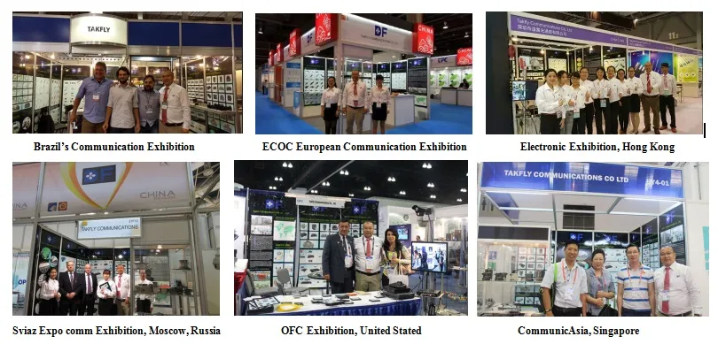 FTTH Fiber Optical Terminal Box (popular product)